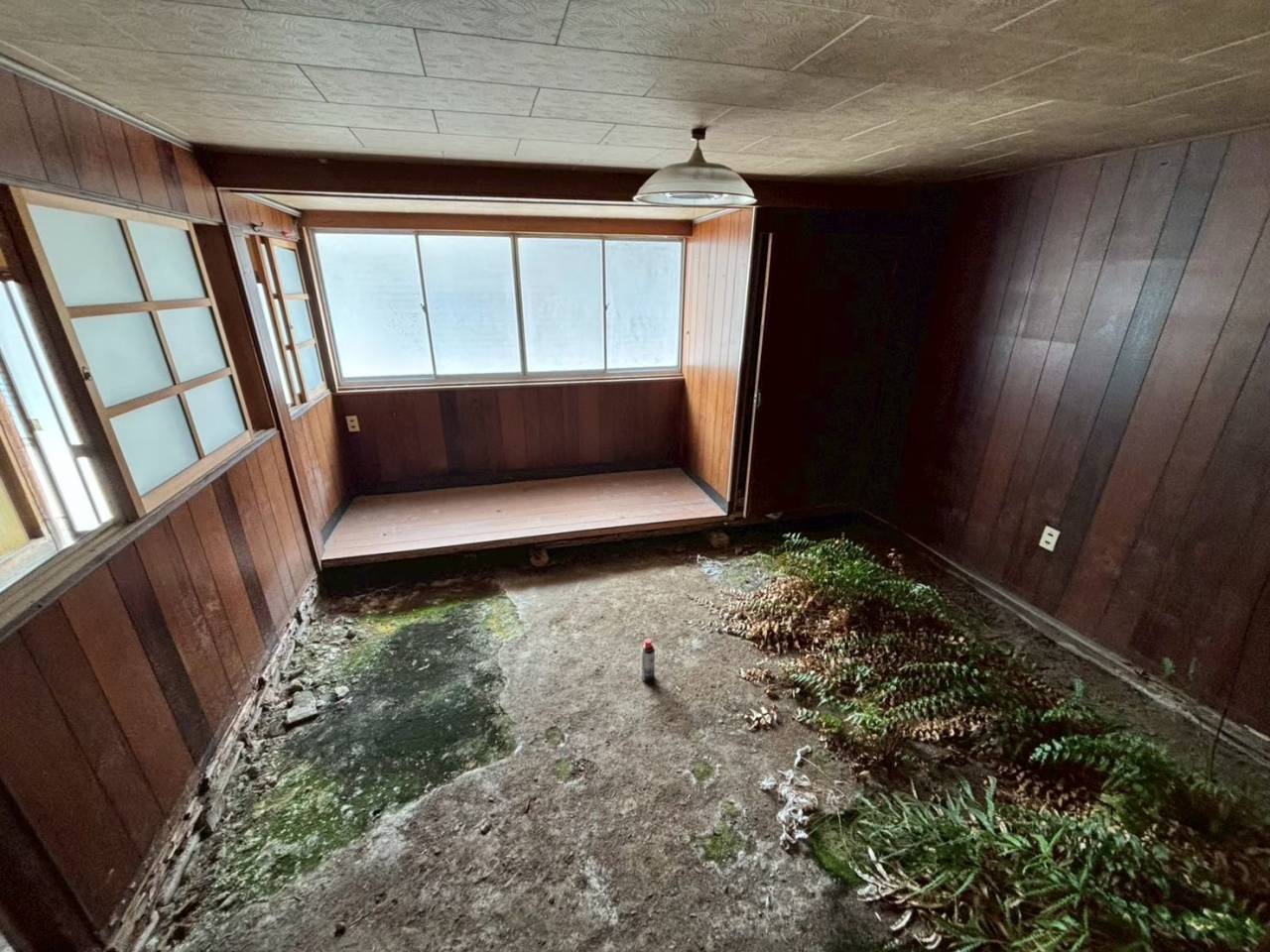 シロアリ被害のある家